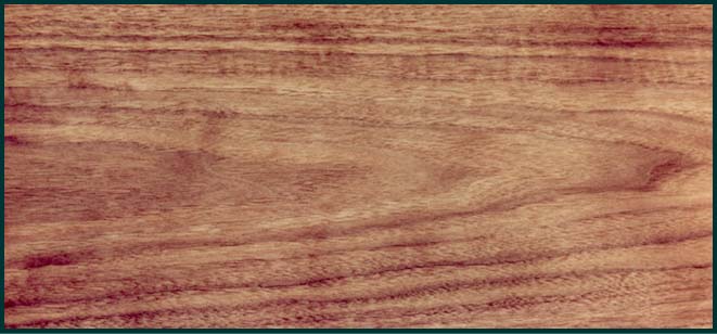 Walnut